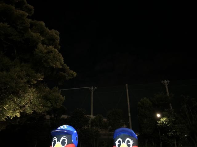 7月17日（火）今日の1コマ