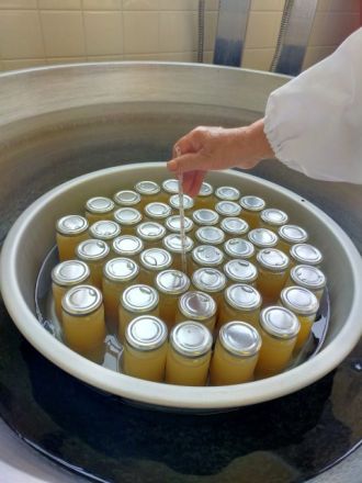 お宝ファイルNO.88　神野ひまわり会