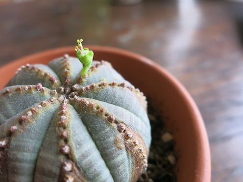 2015年3月2日（月）今日の1コマ