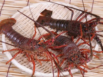 街フェス・オン・サンデー