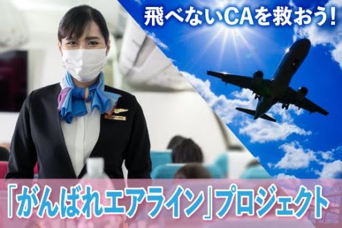「CAの能力・スキルを活かしてフライト減で飛べないCAを救いたい！」