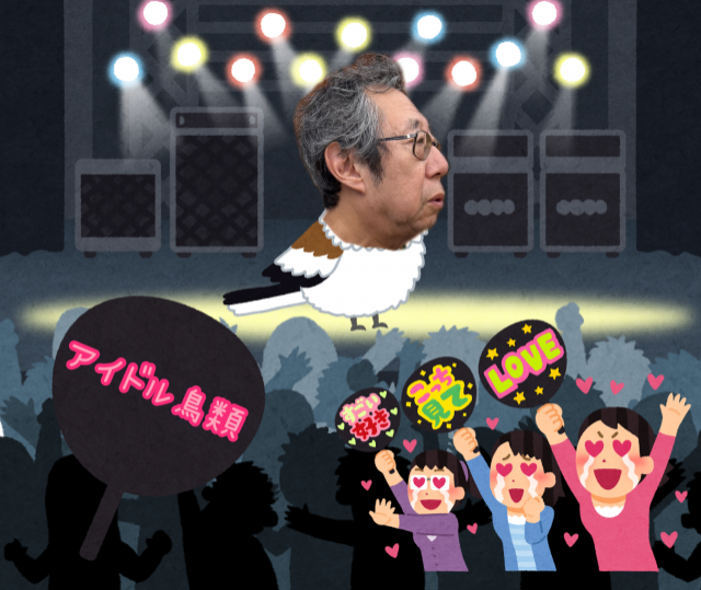 アイドル鳥類