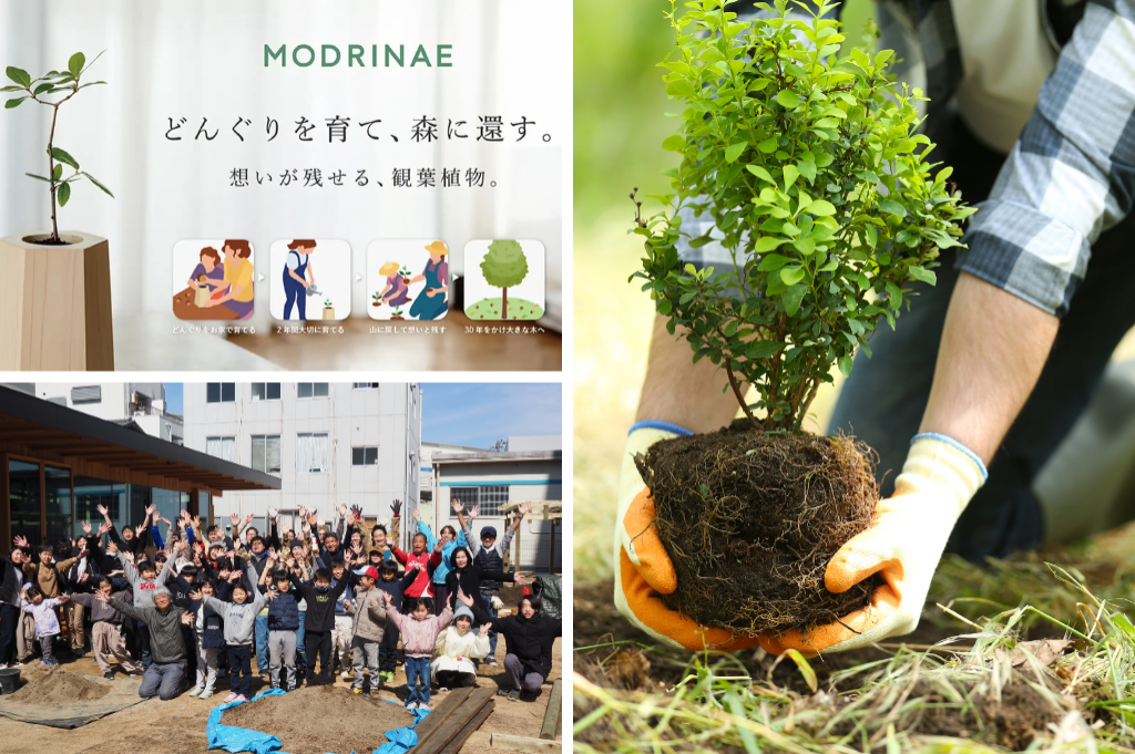 全国植樹祭　今年は埼玉・秩父ミューズパークにて5月25日開催 / 都市部に里山が出現 大阪府吹田市に「里山ガーデン」完成 / ソマノベースの戻り苗が東京に