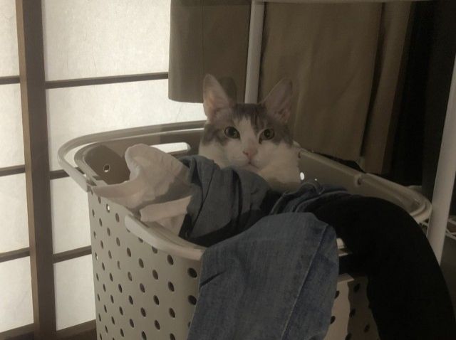 4月19日（月）　今日の1コマ