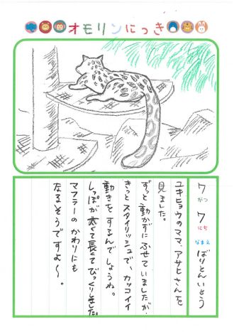 2024年7月7日「ユキヒョウさんをみできましたよ」
