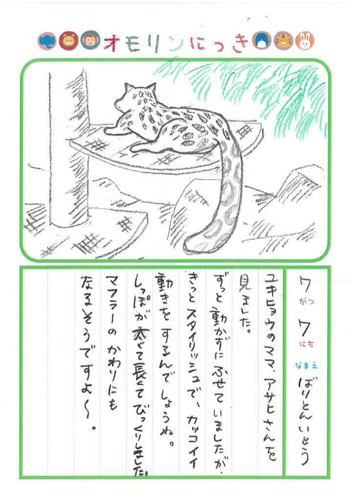 2024年7月7日「ユキヒョウさんをみできましたよ」