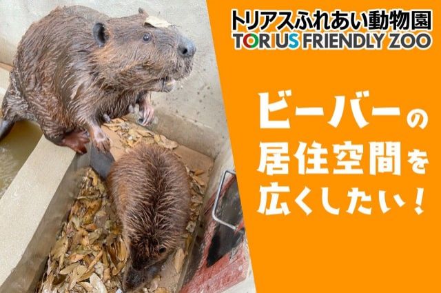 「“森の天才建築家” ビーバー家族の楽しみを増やして、ビーバーの聖地を目指す！！」
