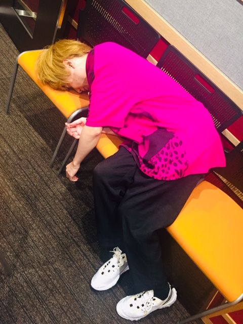 ダニダニアウト～！！