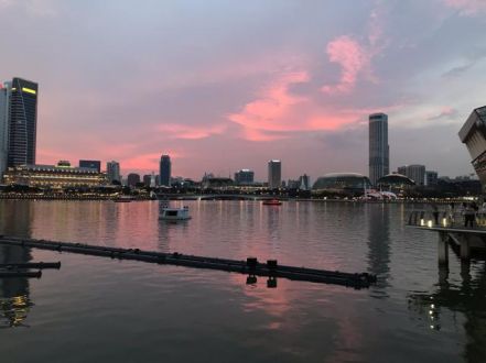 6月22日(金) 今日の1コマ。 