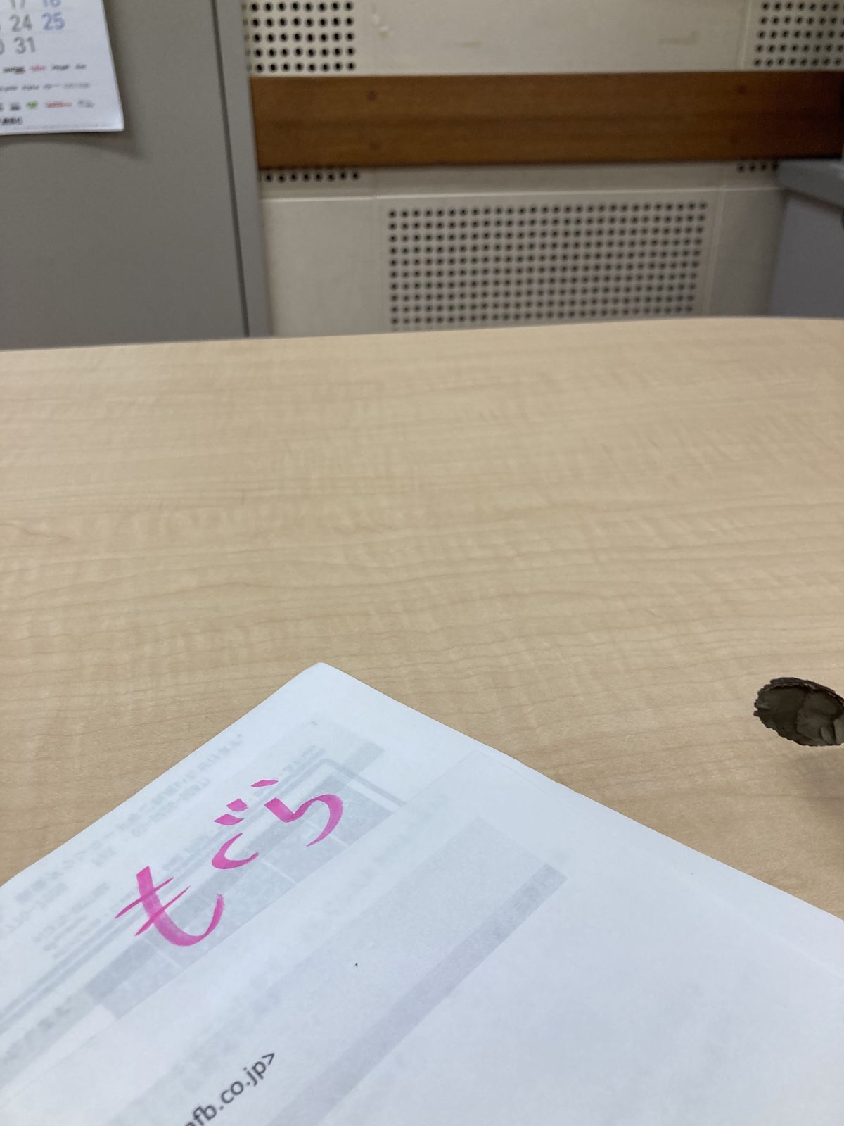 2024年11月26日放送分「いい買い物」