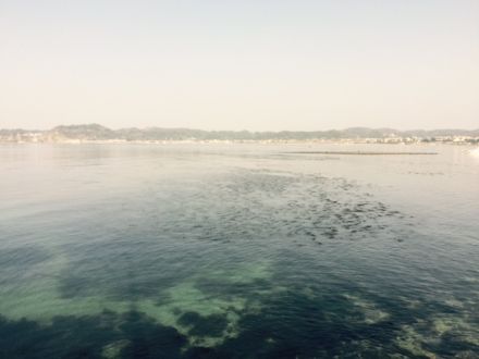 鞄・ユイット・斉藤のいただき！ファイヤー！