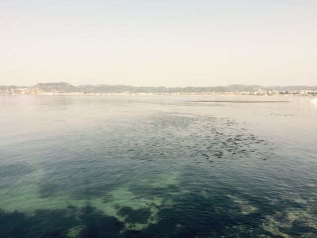 鞄・ユイット・斉藤のいただき！ファイヤー！