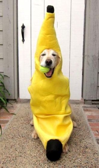 10月24日（月）担当：テット・ワダ