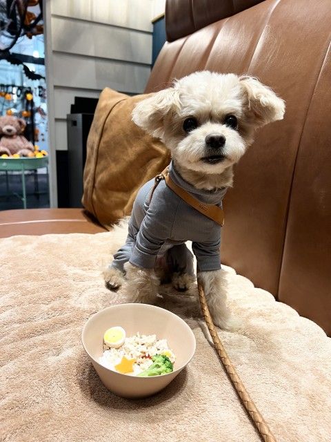 藤井悠のいただき！ヒルズ！