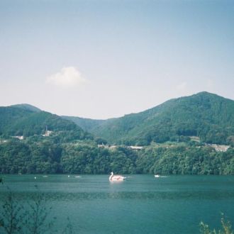 8月13日（木） 今日のメニューは？