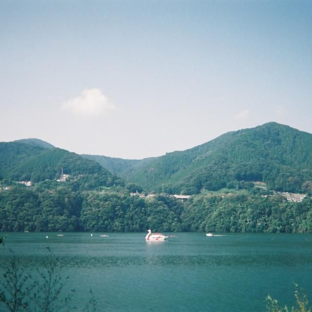 8月13日（木） 今日のメニューは？