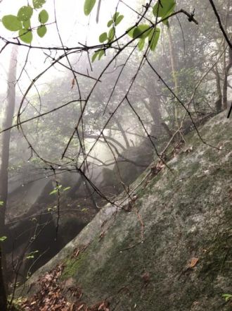 6月11日（月）今日の1コマ　