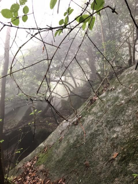 6月11日（月）今日の1コマ　