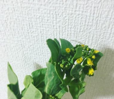 3月20日（月）今日の1コマ