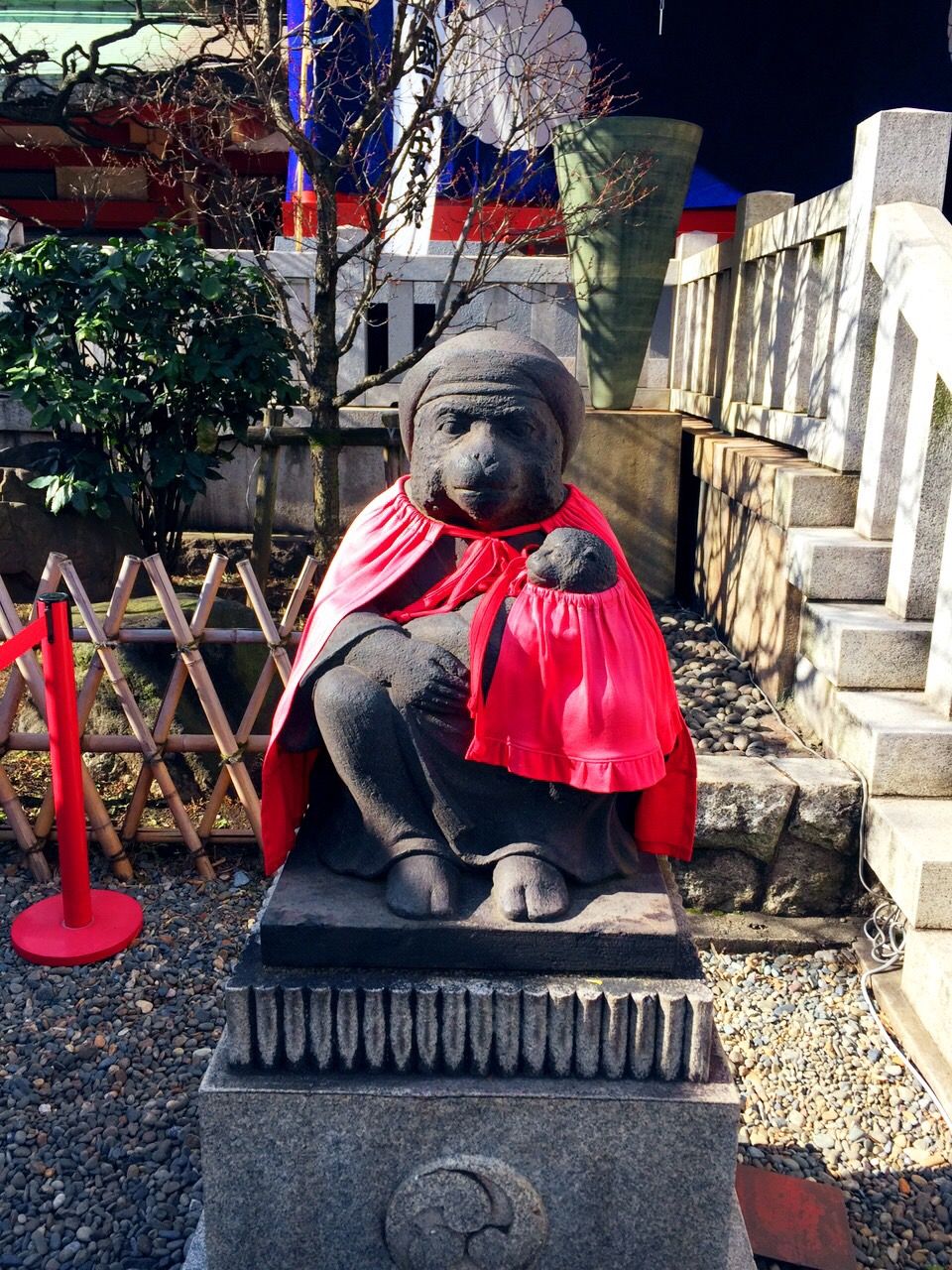 1月6日（水）今日の1コマ