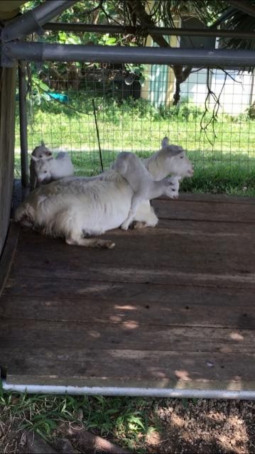 3月26日（月）今日の1コマ　