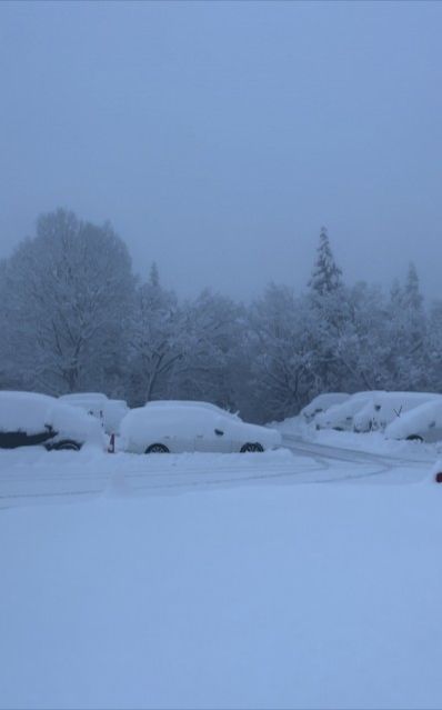 斉藤りょーつのいただき！雪！