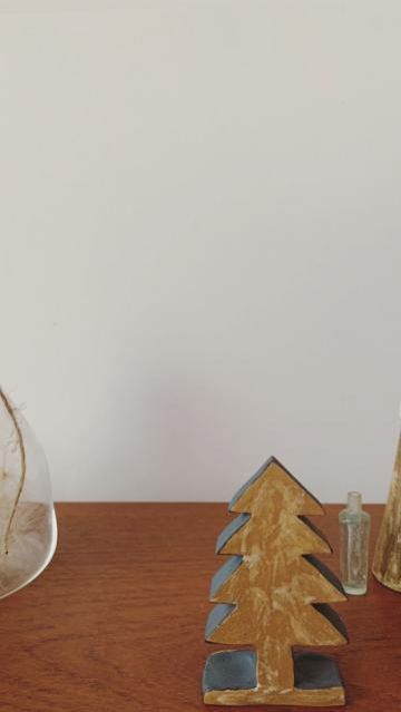 11月20日(金) 今日の1コマ♪