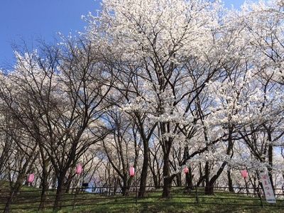藤井悠のいただき！そうだんしつっ！