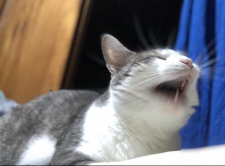 9月8日(火)今日の1コマ♪