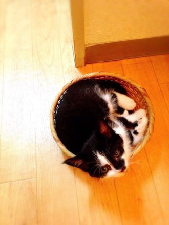 9月4日（金）今日の1コマ