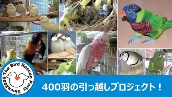 『命をつなぐ最適な居場所へ｜飼い鳥の保護施設「鳥の駅」を移転したい！』