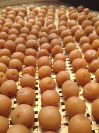 8月11日（火）今日の1コマ