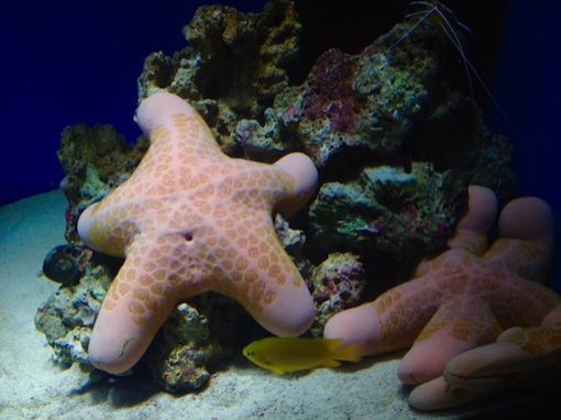 2015年4月13日（月）今日の1コマ