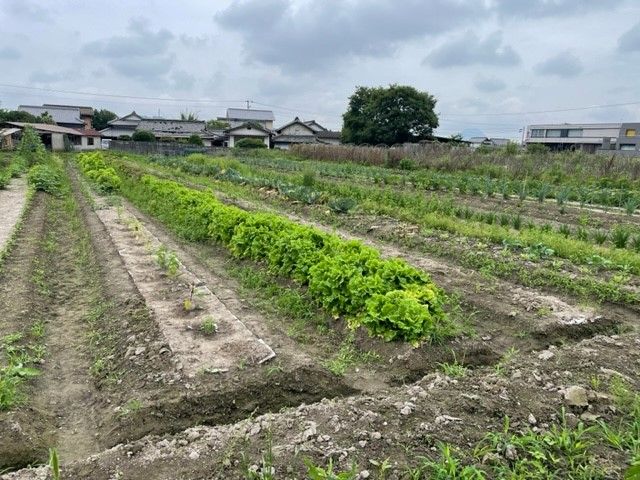 お宝ファイルNO.83　産直倶楽部てんとうむし山下農場