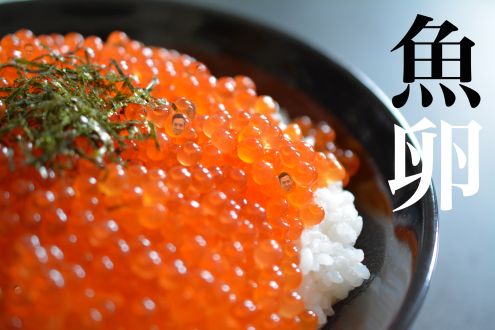 魚卵