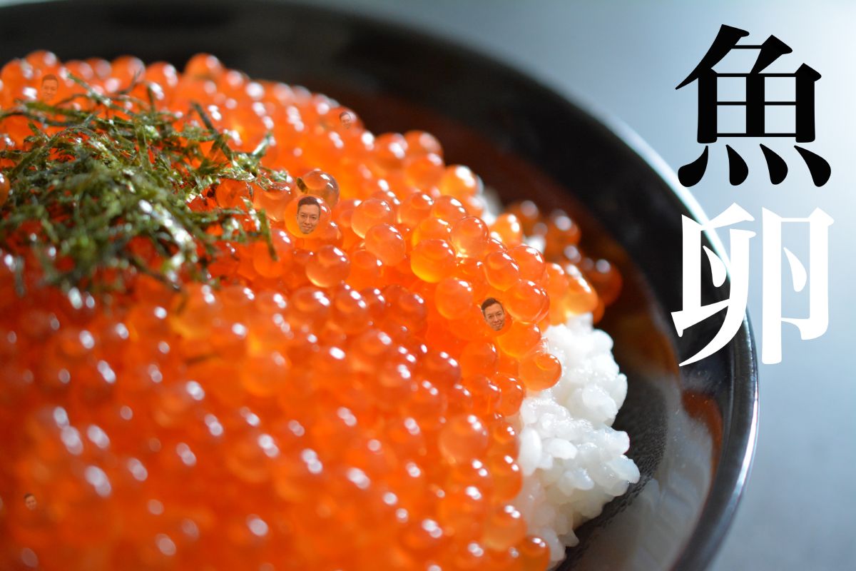 魚卵