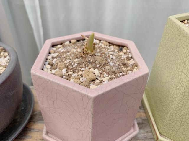 1月22日(金) 今日の1コマ♪