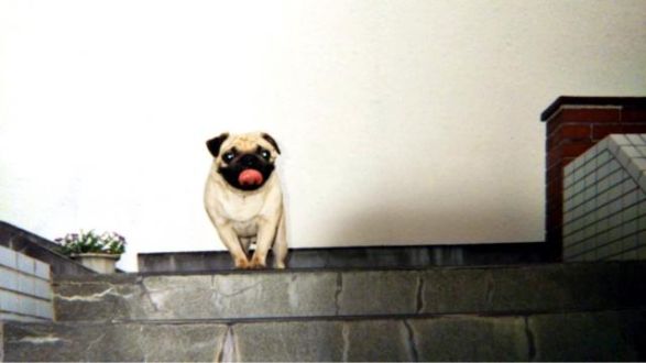 3月14日（水）今日の一コマ