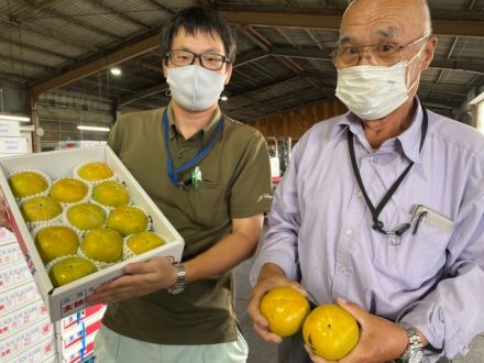 第27回「青いのに・・・甘くて丸くてサクッジューシー！」2022.10.11