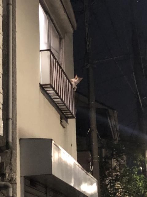 10月5日（月）　今日の1コマ