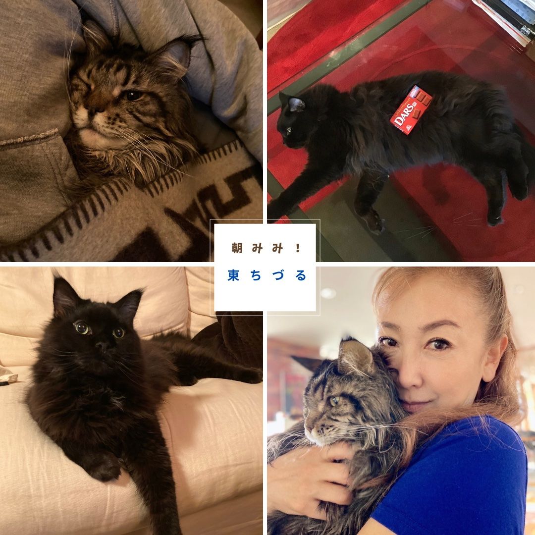 東ちづるさんと朝みみ！トーク　愛猫ピースくんが喋る！？　ちづる＆まっぴーで考える「防災」