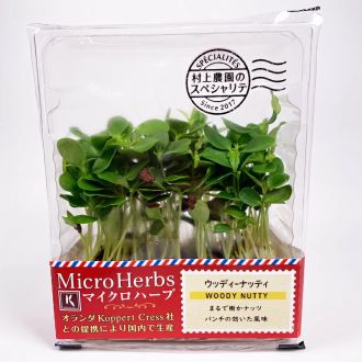 「めずらしい味のする葉っぱ」特集！山梨県の「ウッディーナッティー」