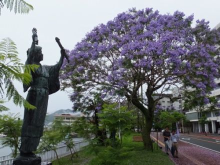 街フェス・オン・サンデー