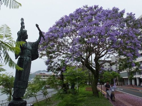 街フェス・オン・サンデー