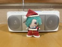 メールテーマ：  緑仙サンタのお悩み相談会