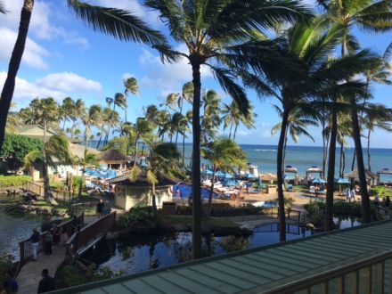 「THE KAHALA HOTEL &amp; RESORT」
