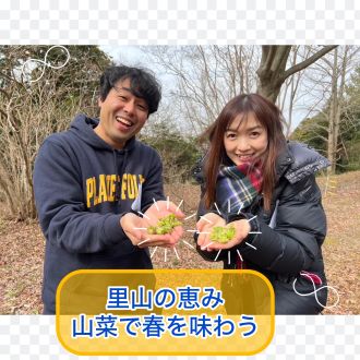 【＃４９　里山の恵み、山菜で春を味わう　】～Sato Note
