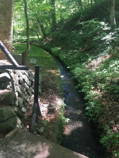 10月12日（金）今日の1コマ♪