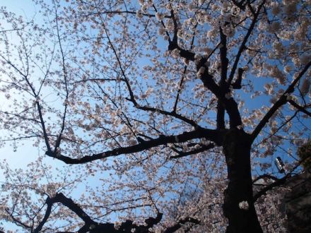 3月30日（月） simple style