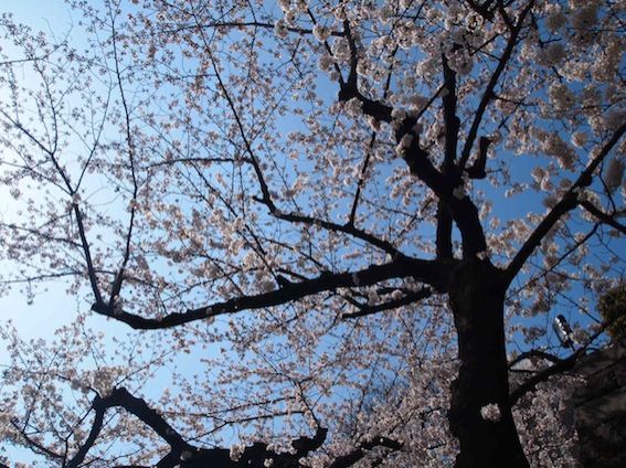 3月30日（月） simple style